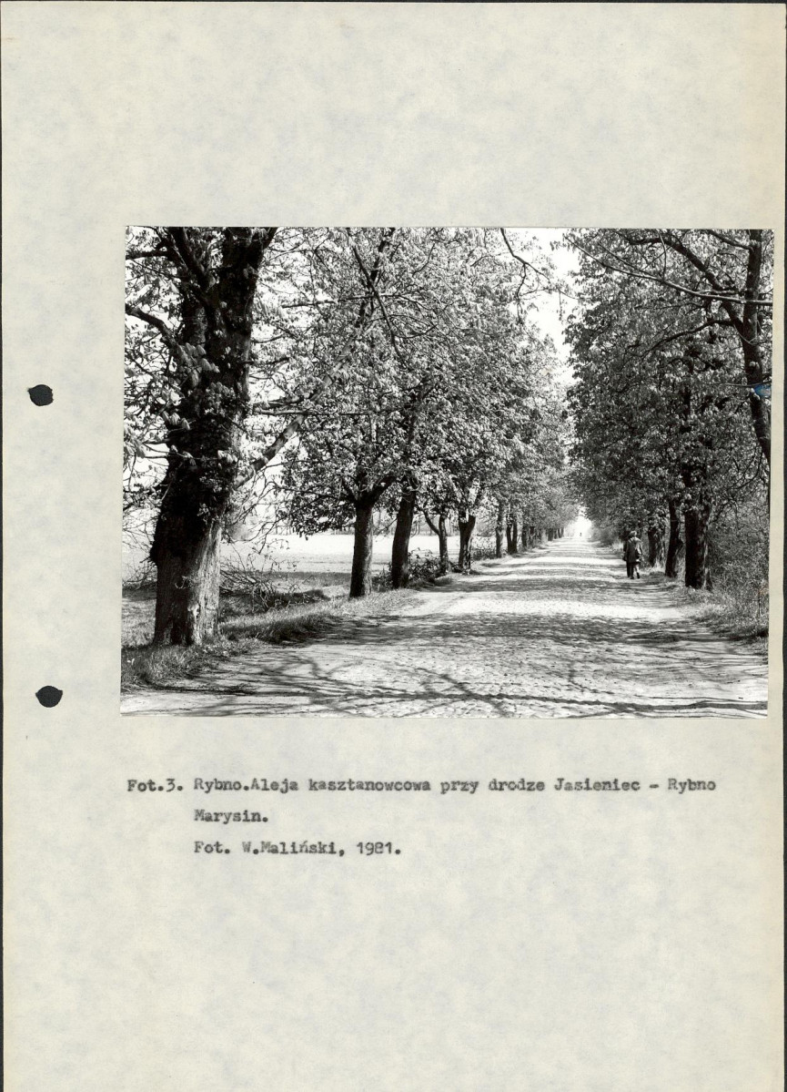 Ewidencja parkowa, skan nr 13