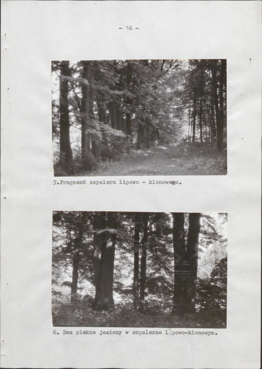 Ewidencja parkowa, skan nr 24