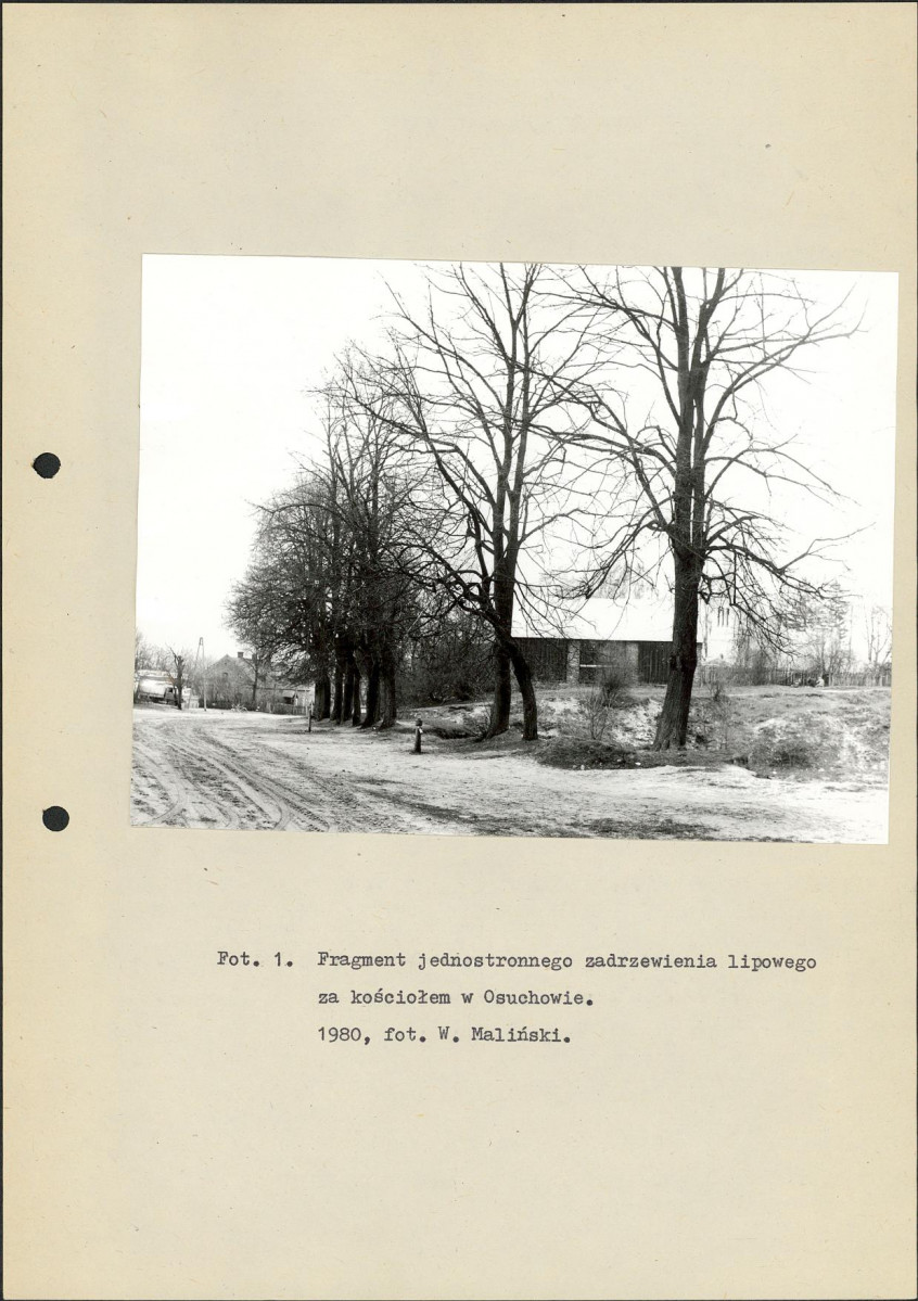 EP - Ewidencja parkowa, skan nr 12
