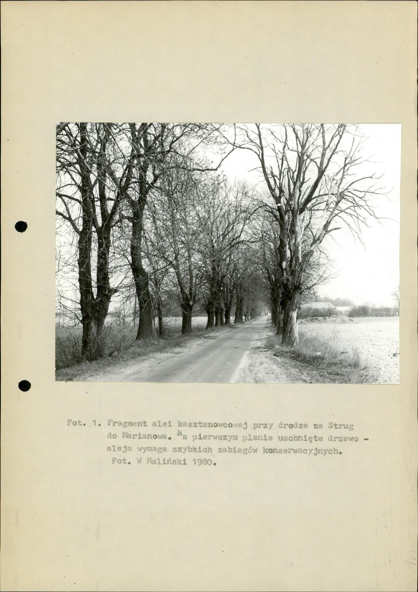 Ewidencja parkowa, skan nr 21