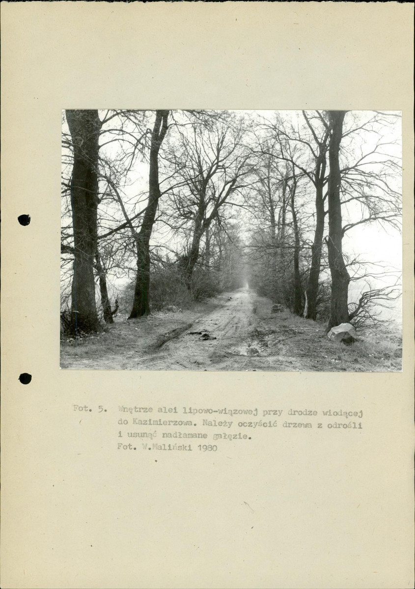 Ewidencja parkowa, skan nr 25
