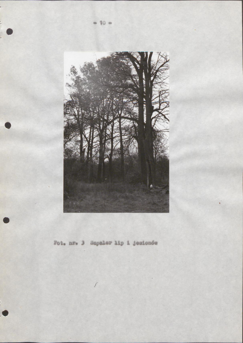 EP - Ewidencja parkowa, skan nr 17