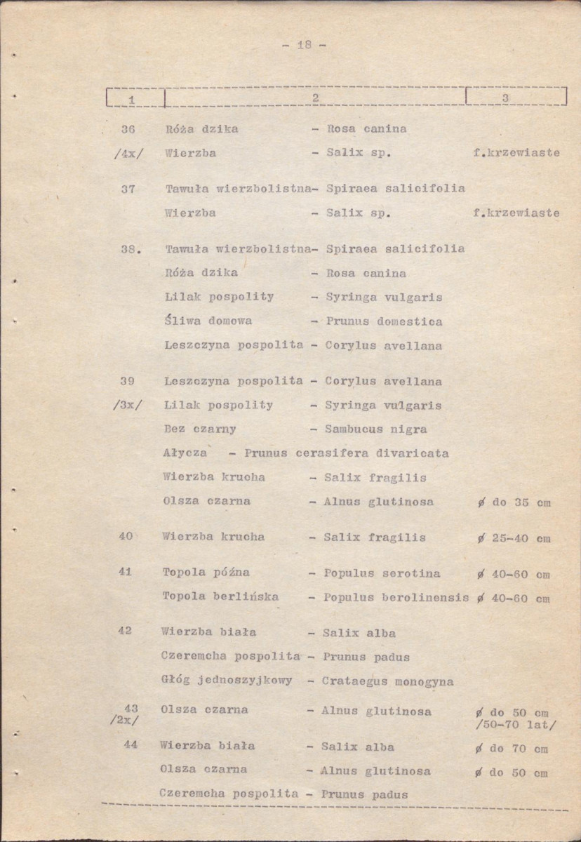 EP - Ewidencja parkowa, skan nr 25