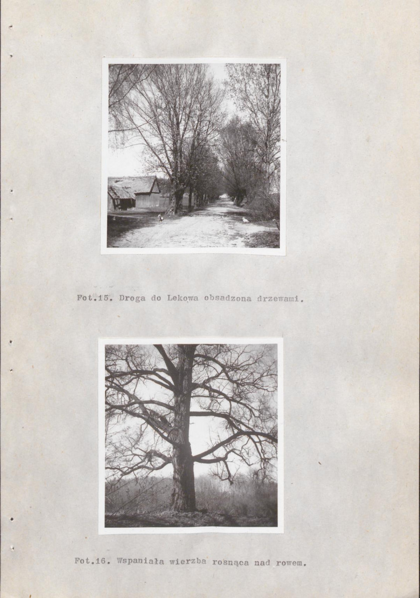 EP - Ewidencja parkowa, skan nr 40