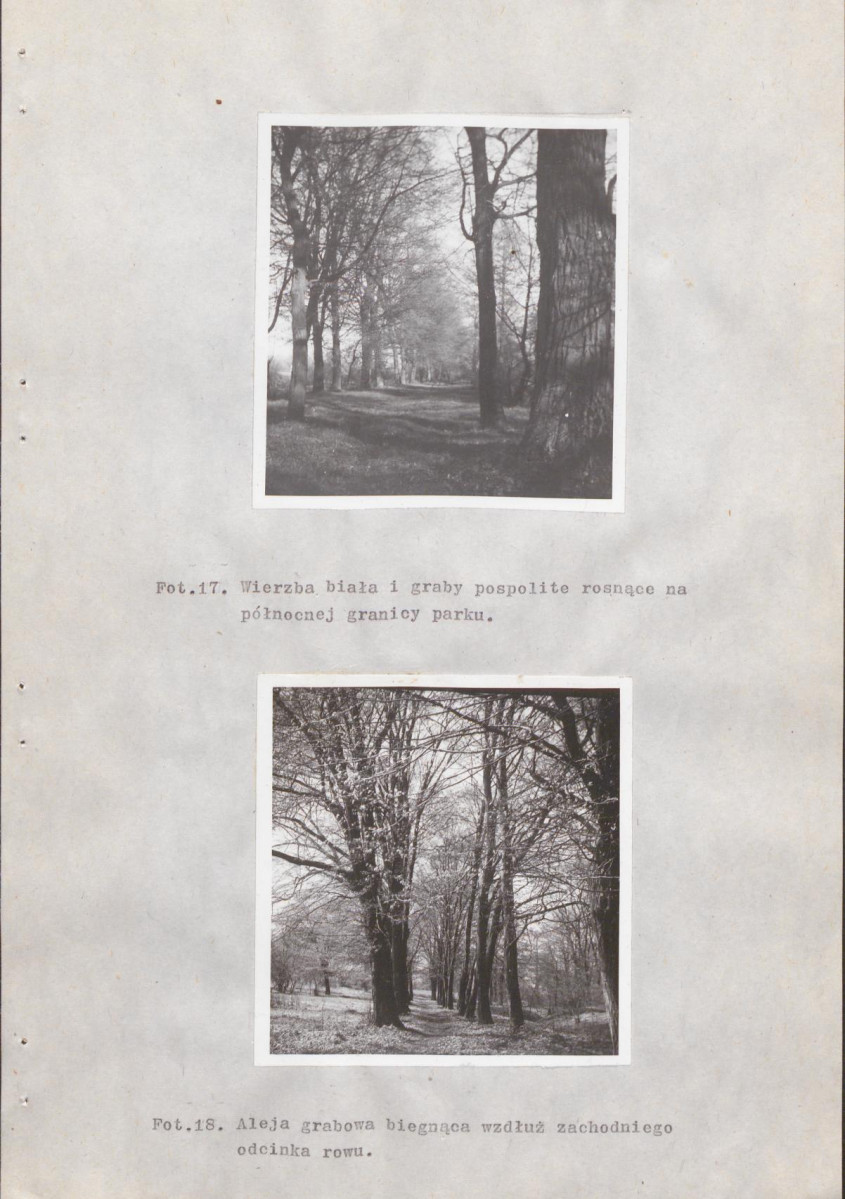 EP - Ewidencja parkowa, skan nr 41