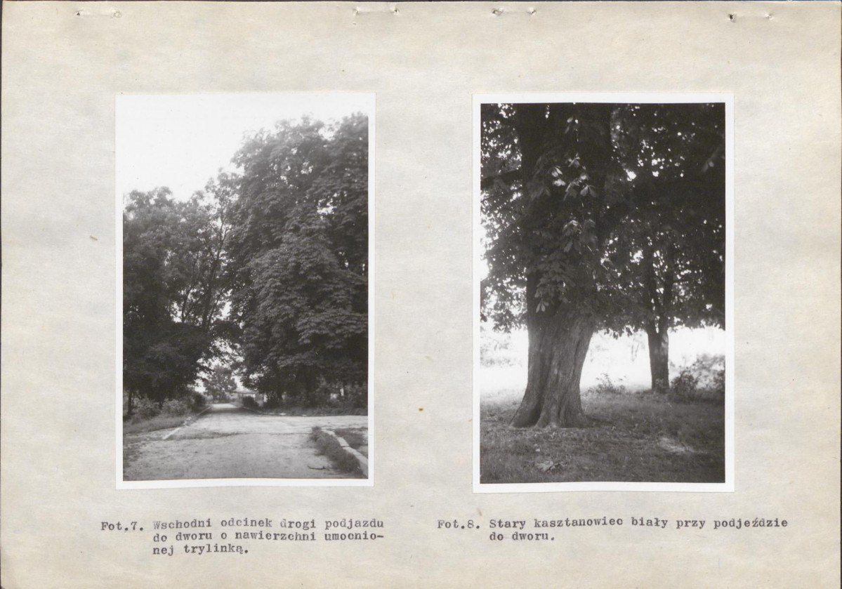 Ewidencja parkowa, skan nr 28