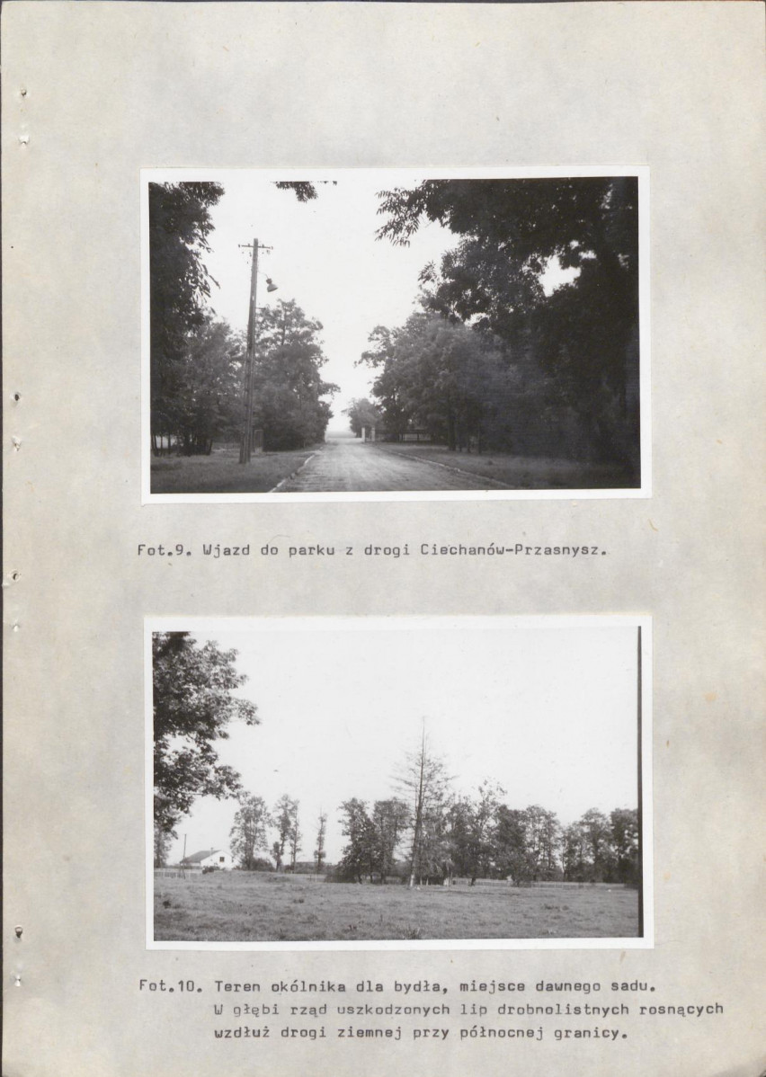 Ewidencja parkowa, skan nr 29