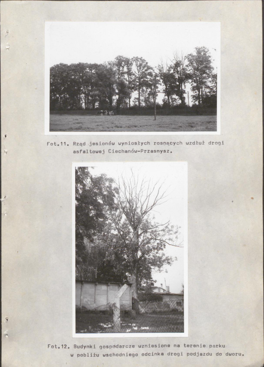 Ewidencja parkowa, skan nr 30