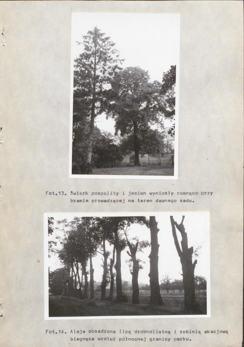 Ewidencja parkowa, skan nr 31