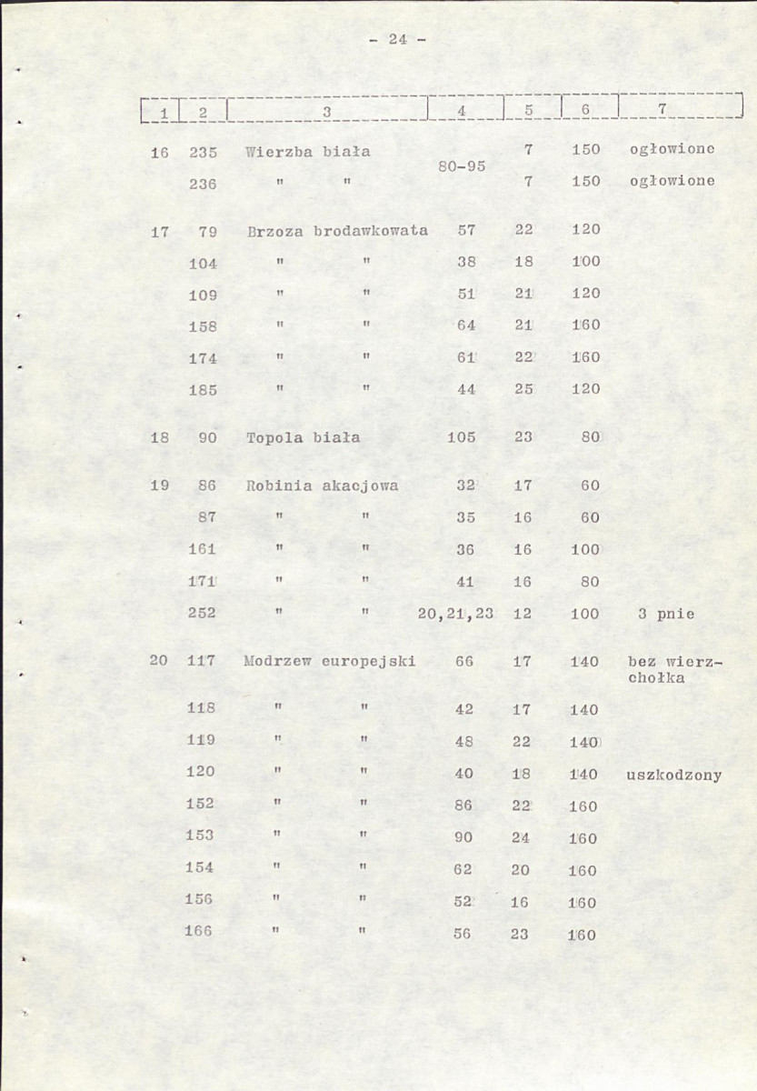 Ewidencja parkowa, skan nr 31