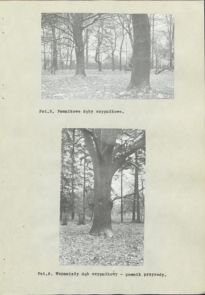 Ewidencja parkowa, skan nr 45