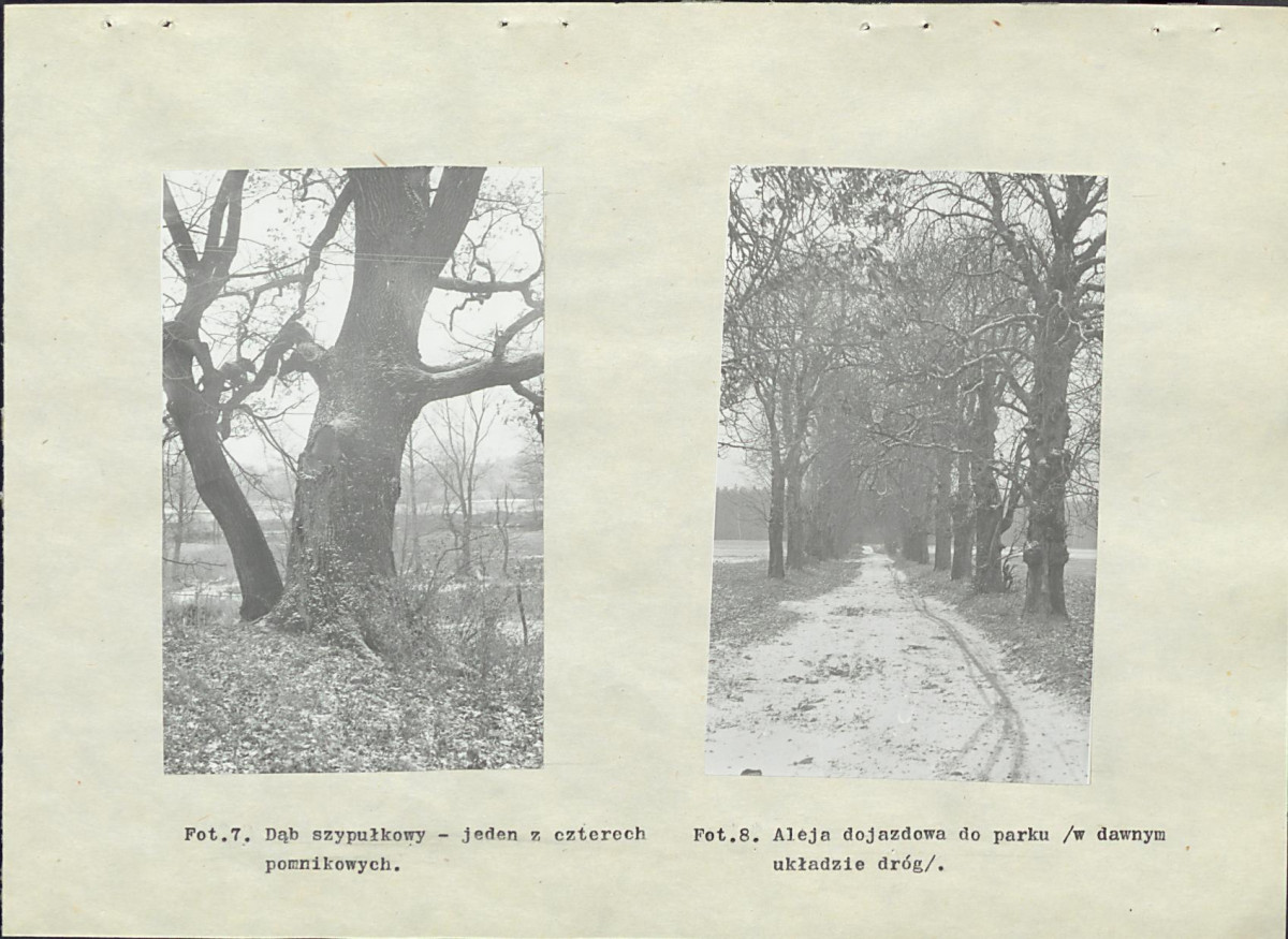 Ewidencja parkowa, skan nr 46