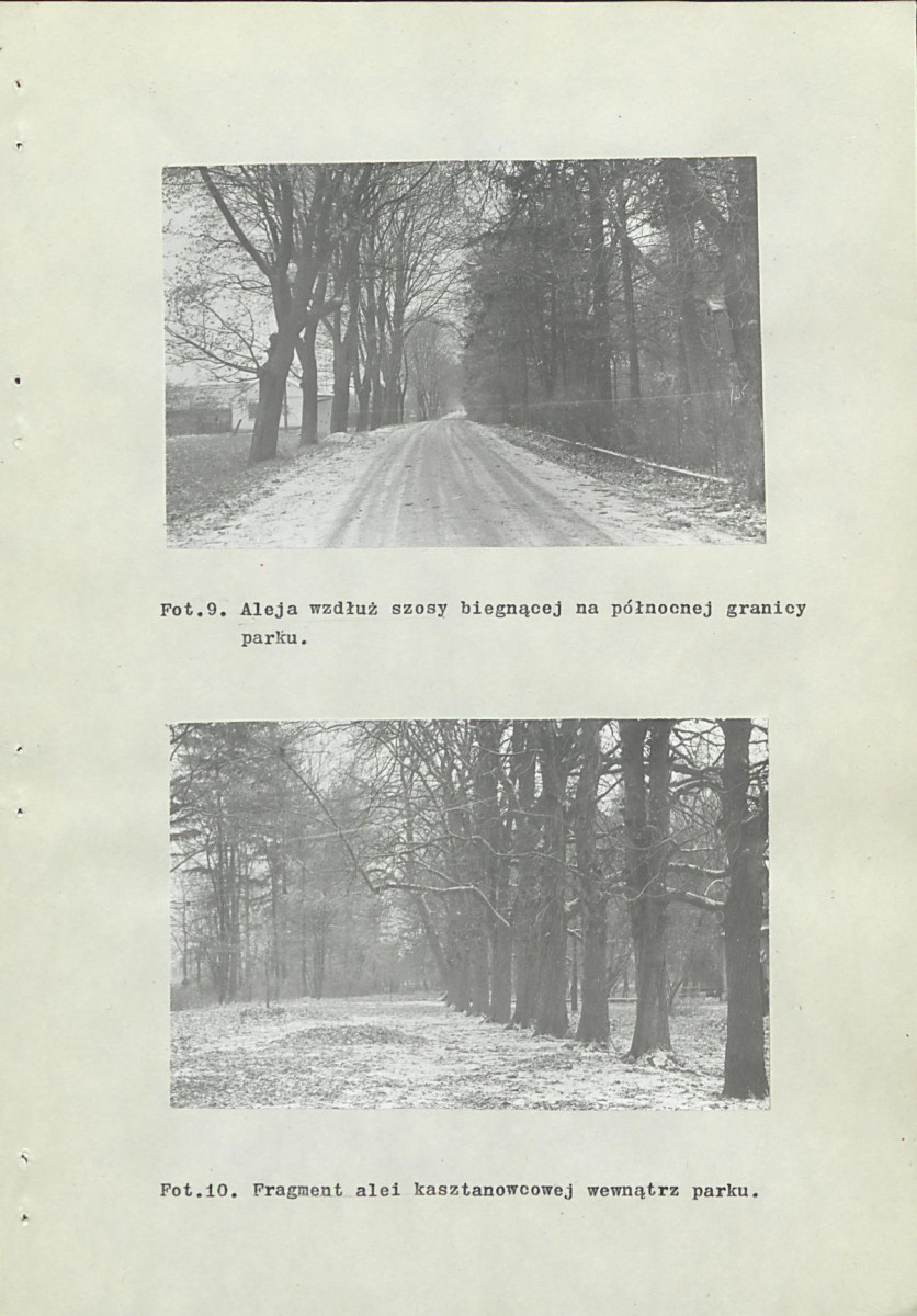 Ewidencja parkowa, skan nr 47
