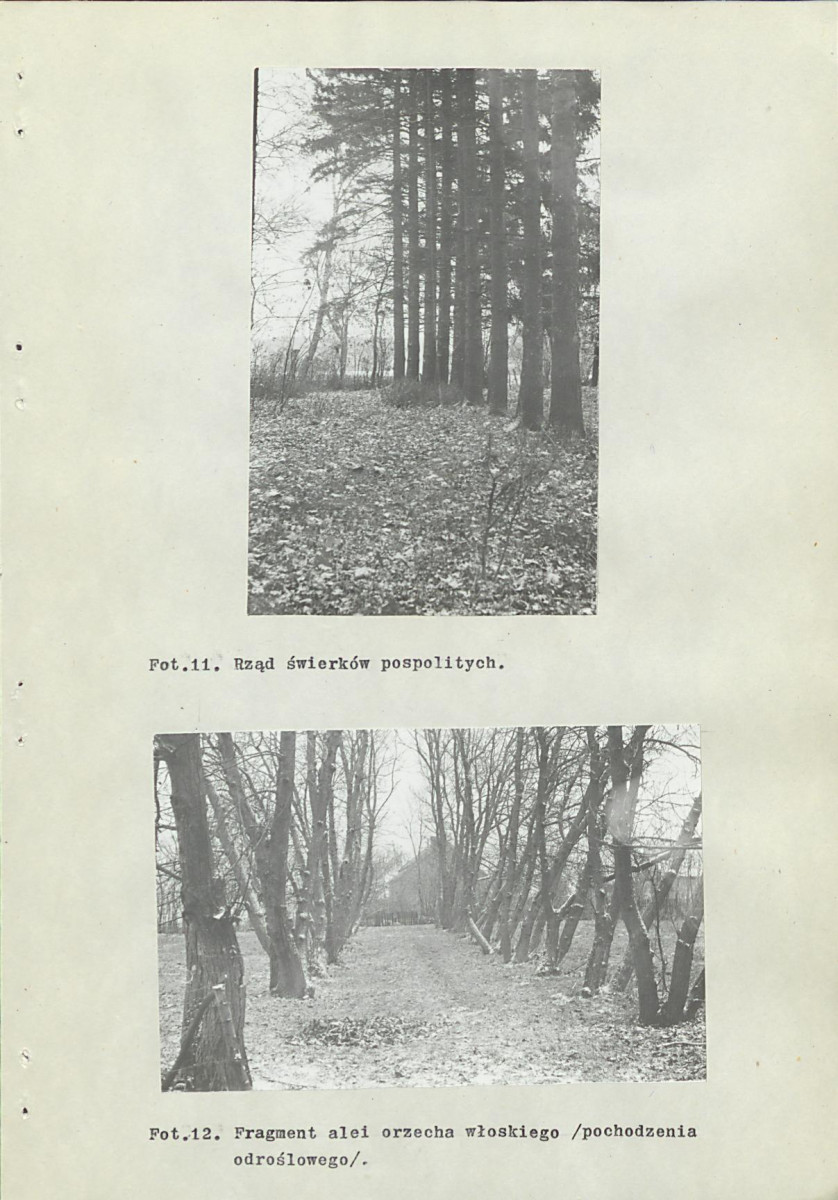 Ewidencja parkowa, skan nr 48