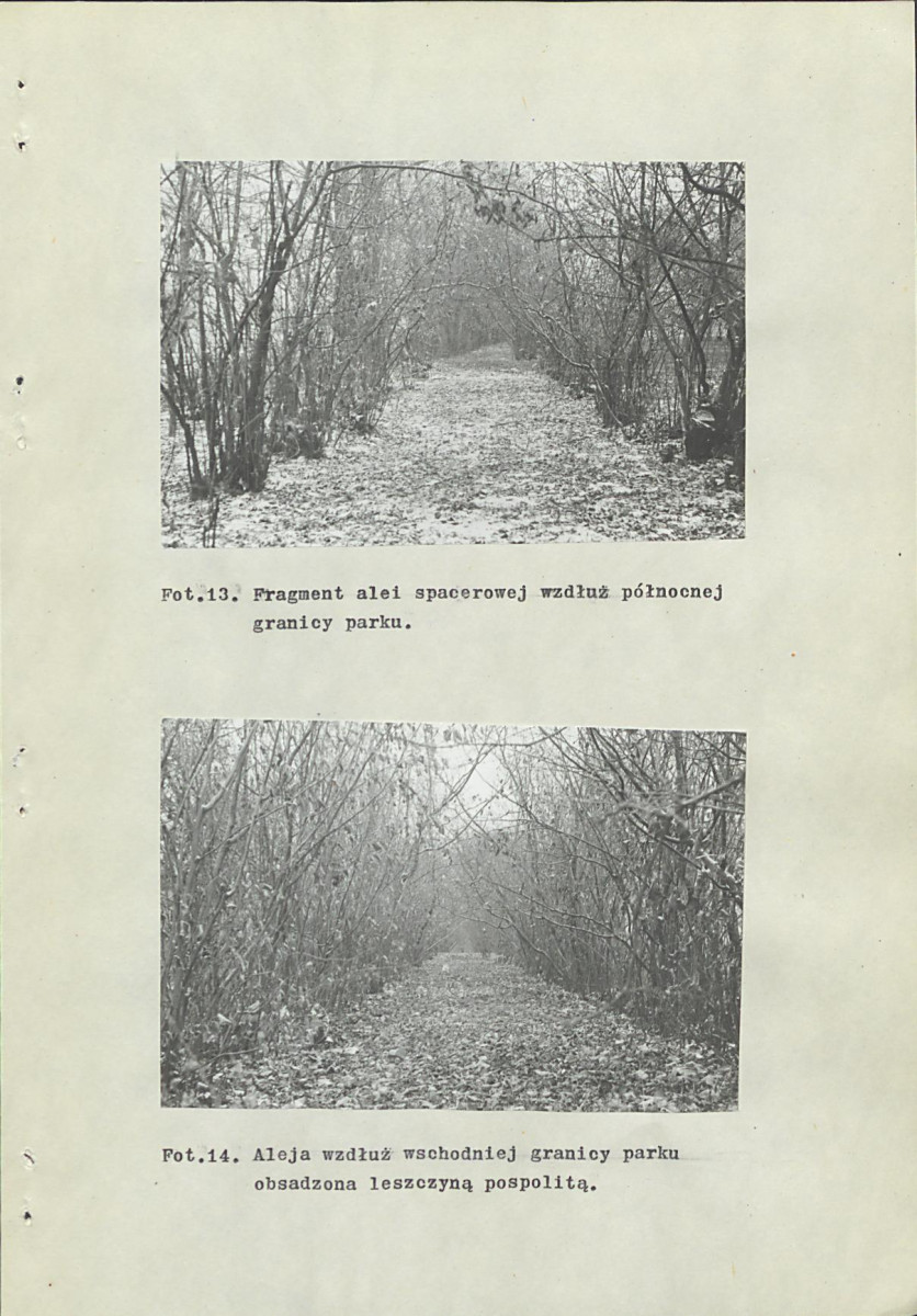 Ewidencja parkowa, skan nr 49