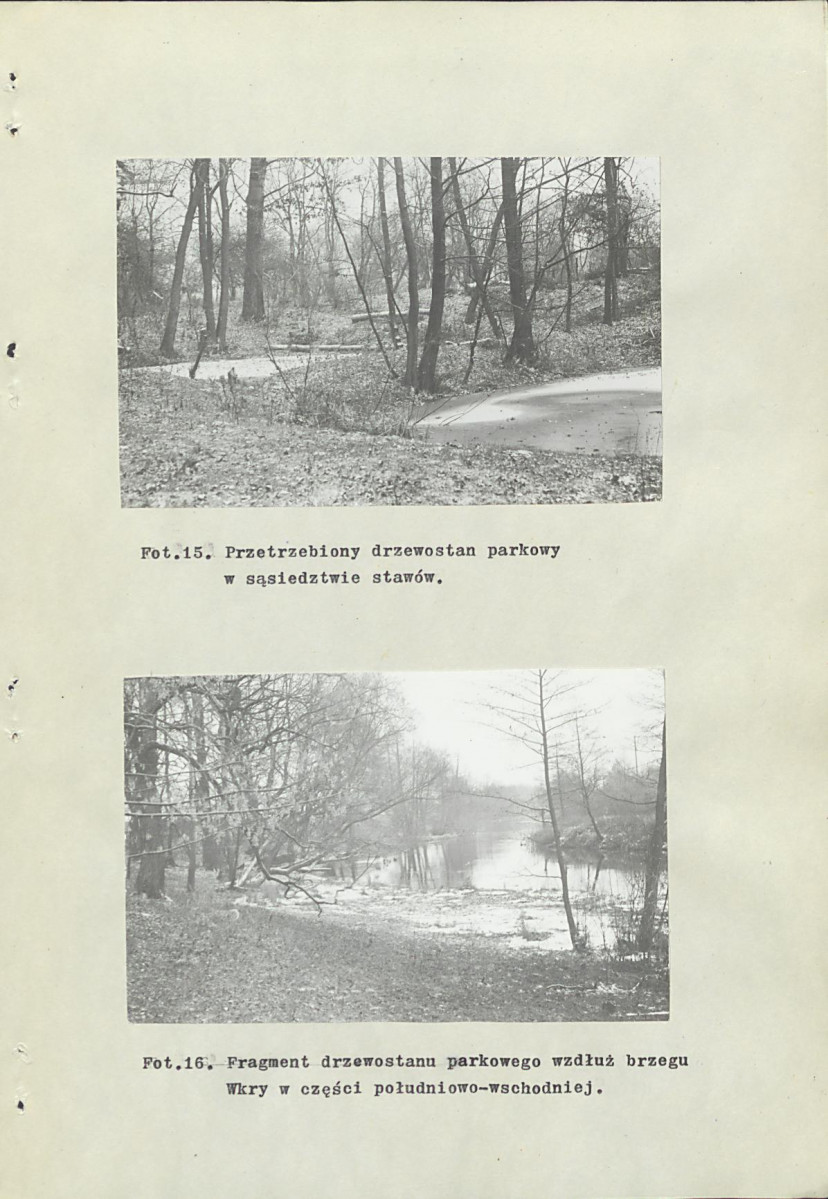 Ewidencja parkowa, skan nr 50