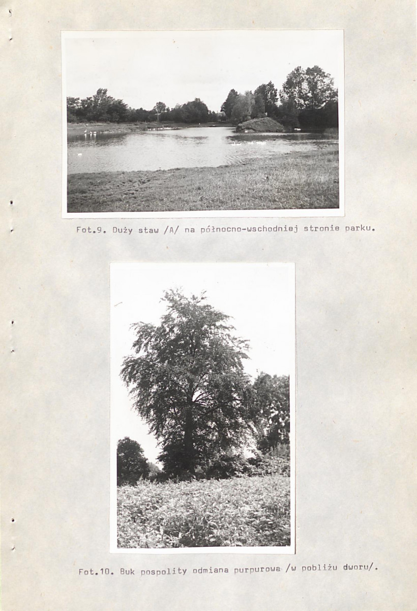 EP - Ewidencja parkowa, skan nr 30
