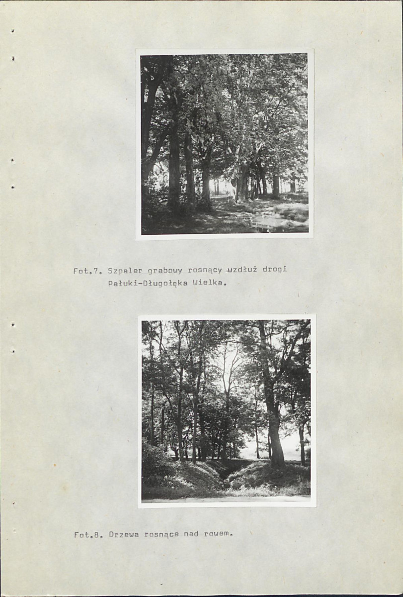 EP - Ewidencja parkowa, skan nr 29