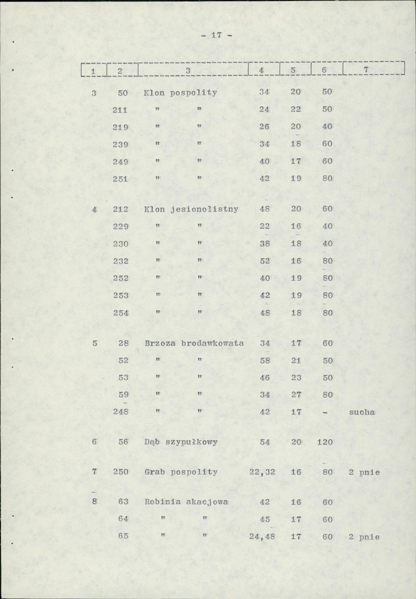 Ewidencja parkowa, skan nr 25