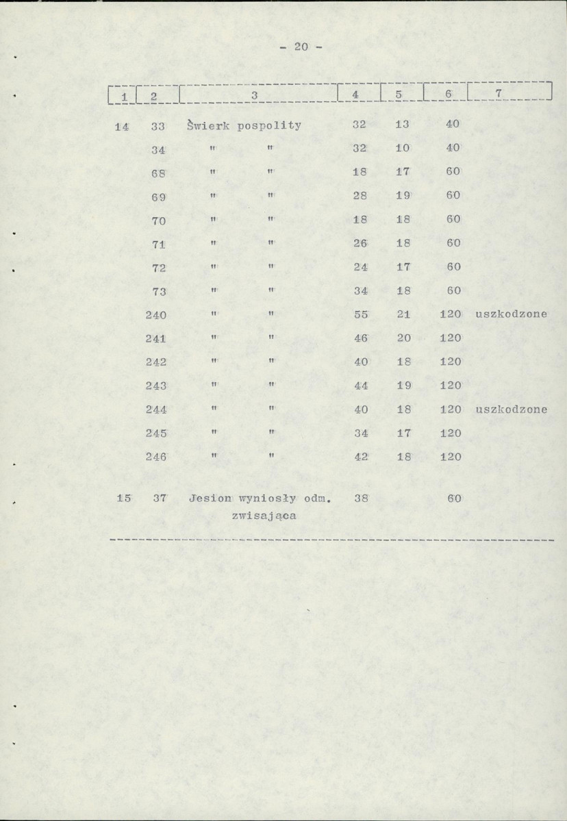 Ewidencja parkowa, skan nr 28