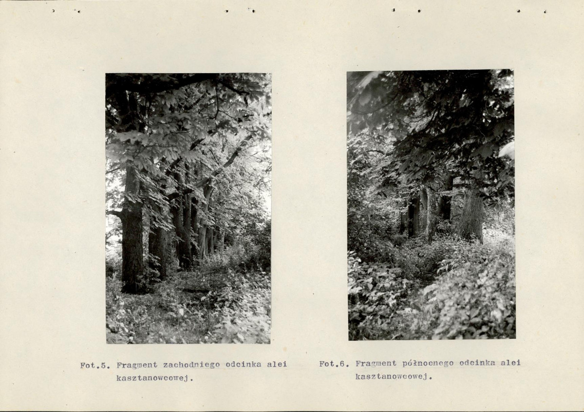 Ewidencja parkowa, skan nr 39