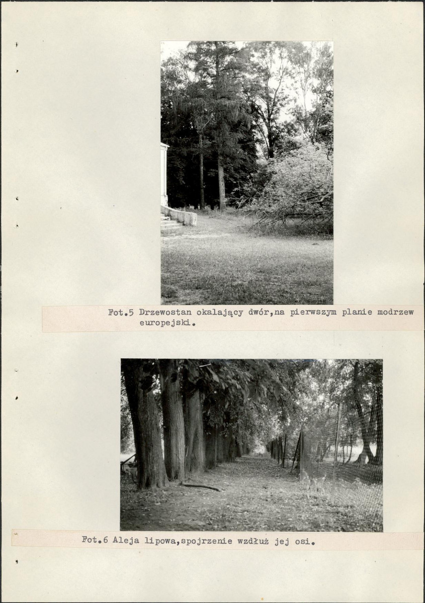 Ewidencja parkowa, skan nr 38