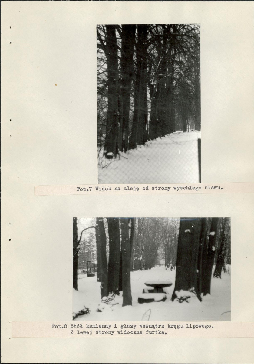 Ewidencja parkowa, skan nr 39