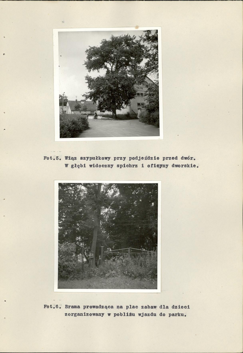 Ewidencja parkowa, skan nr 39