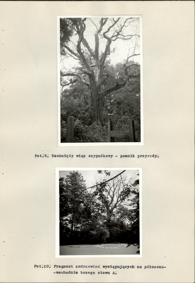 Ewidencja parkowa, skan nr 41