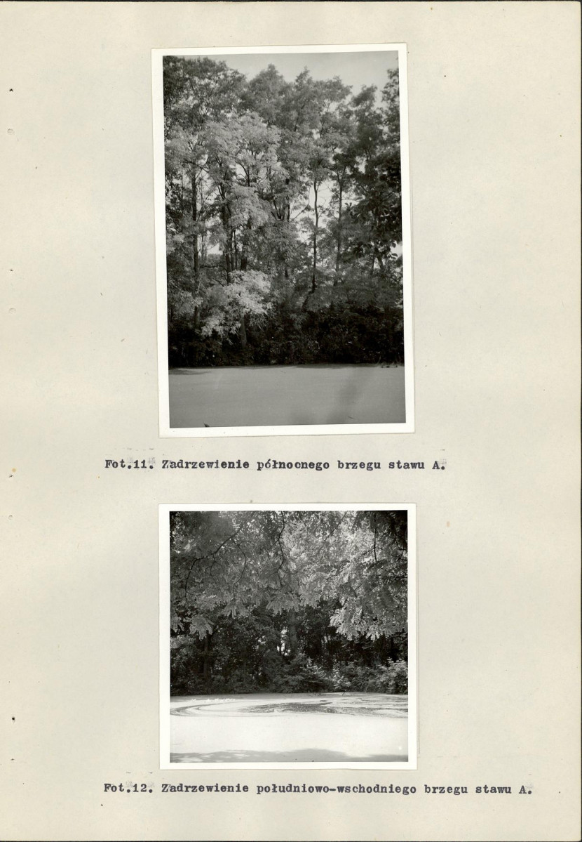 Ewidencja parkowa, skan nr 42