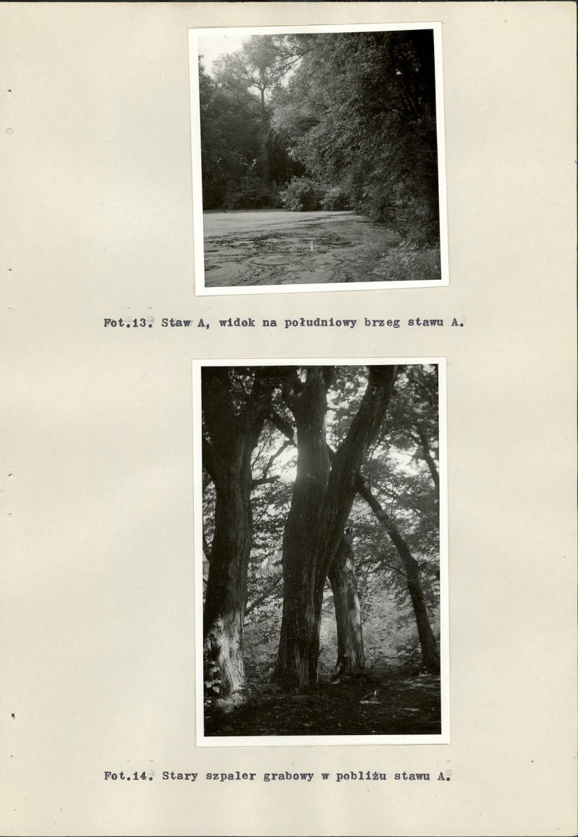 Ewidencja parkowa, skan nr 43