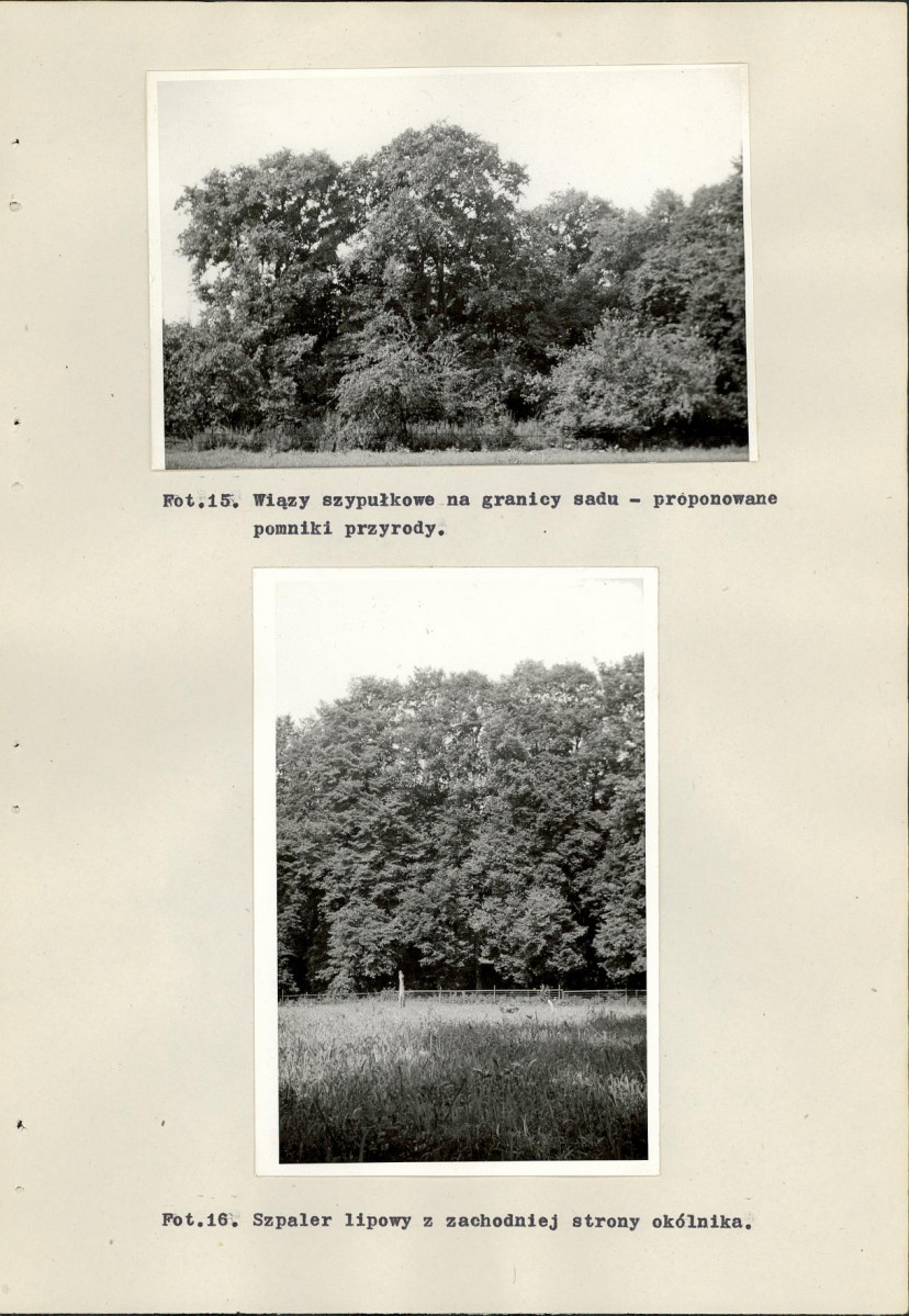 Ewidencja parkowa, skan nr 44