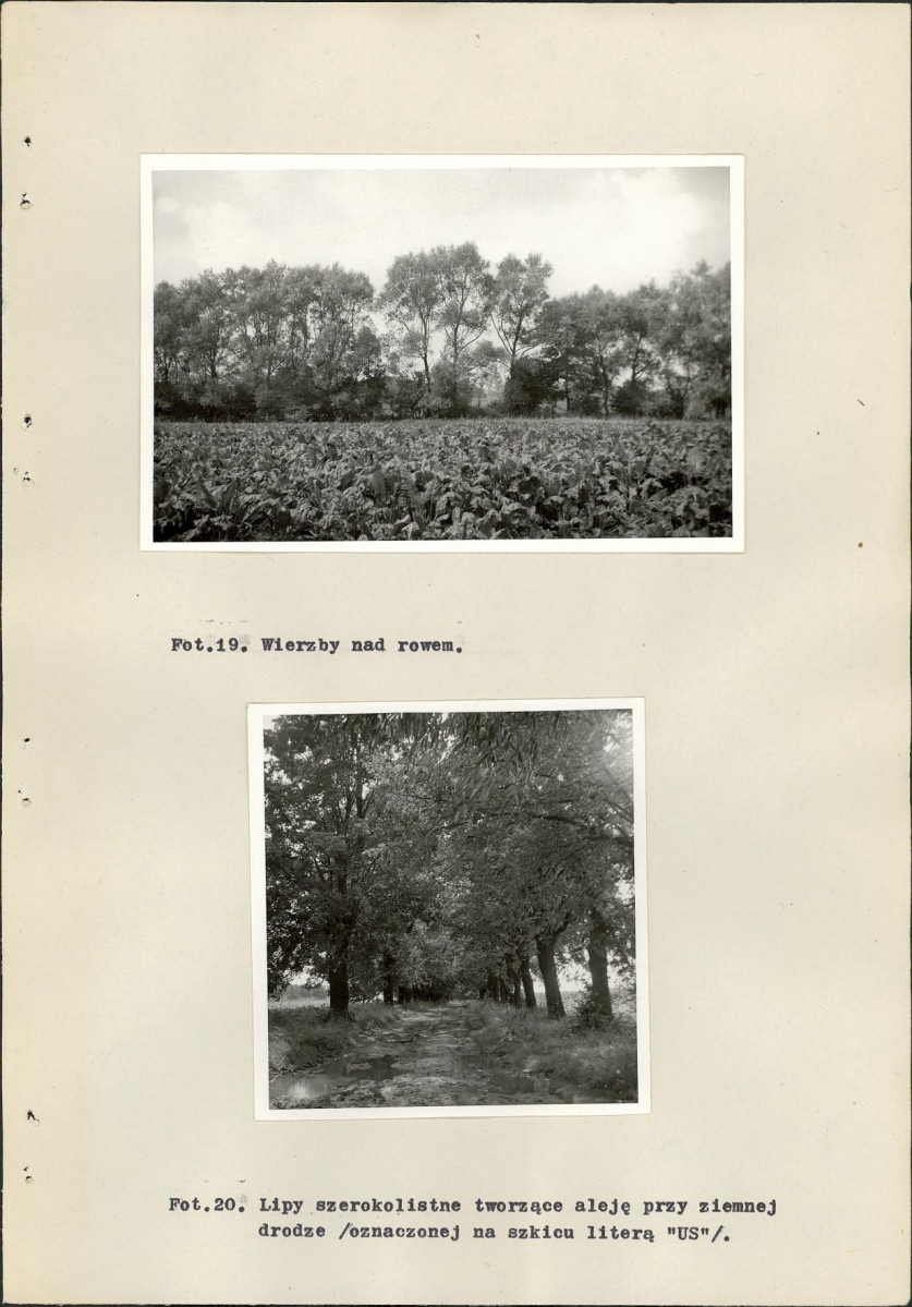 Ewidencja parkowa, skan nr 46