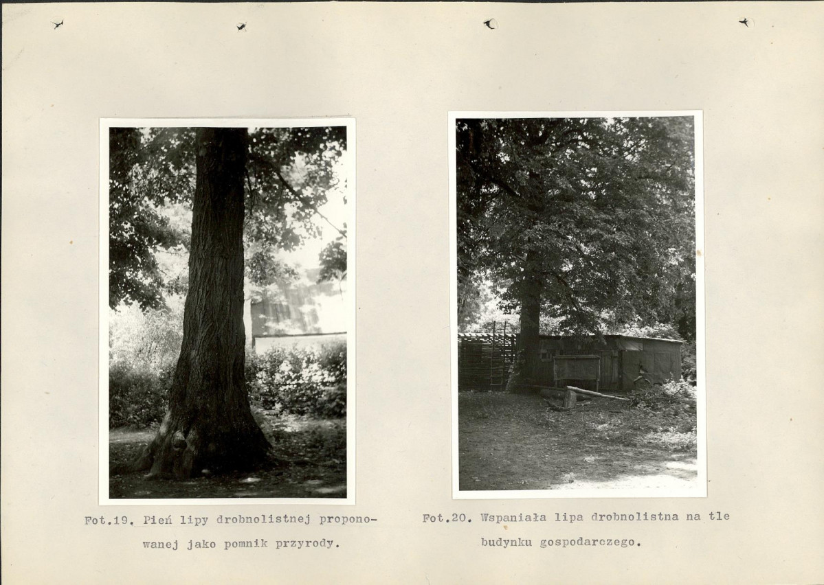 EP - Ewidencja parkowa, skan nr 43
