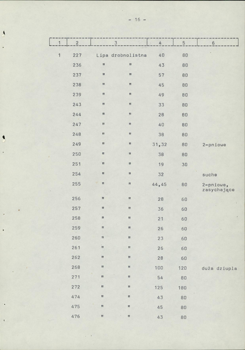 Ewidencja parkowa, skan nr 23