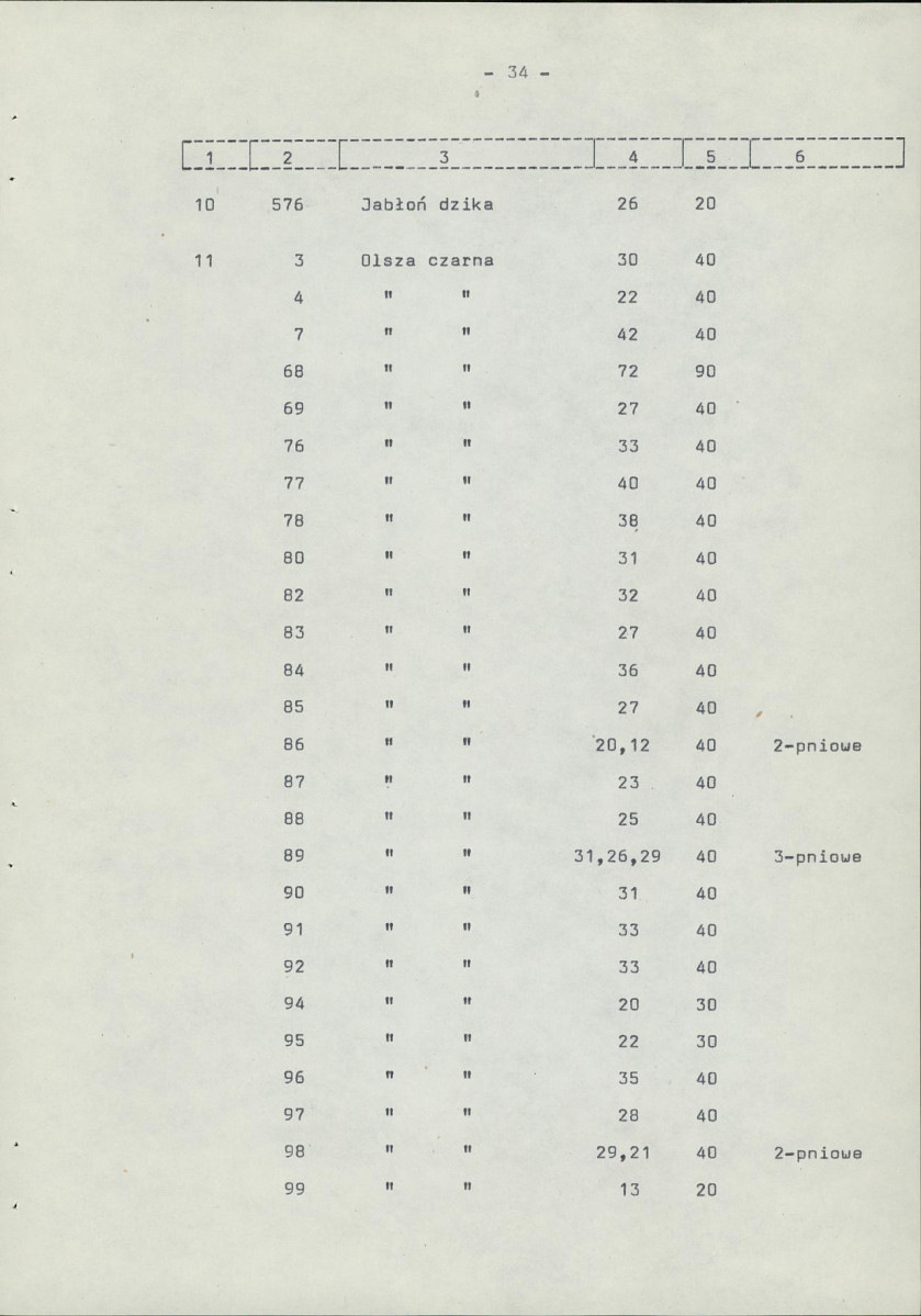 Ewidencja parkowa, skan nr 41