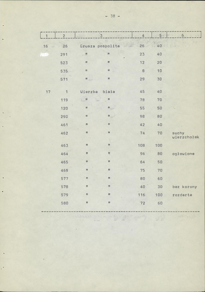 Ewidencja parkowa, skan nr 45
