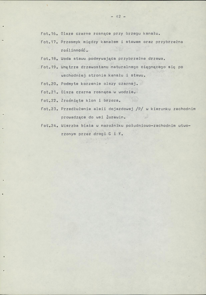 Ewidencja parkowa, skan nr 50