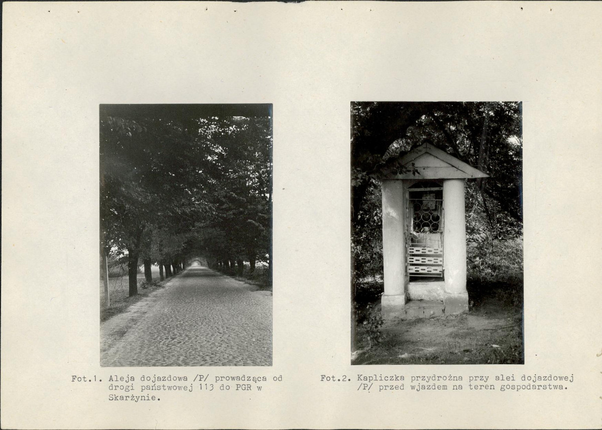 Ewidencja parkowa, skan nr 54