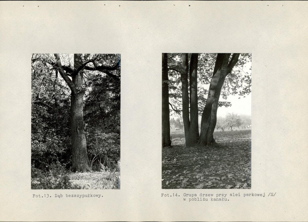 Ewidencja parkowa, skan nr 60