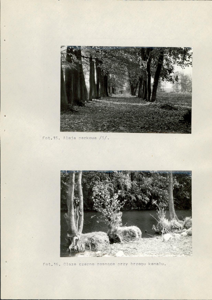 Ewidencja parkowa, skan nr 61