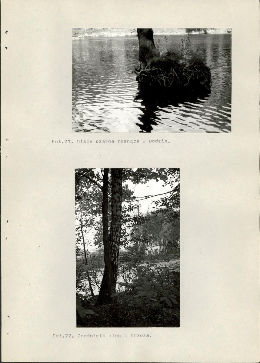 Ewidencja parkowa, skan nr 64