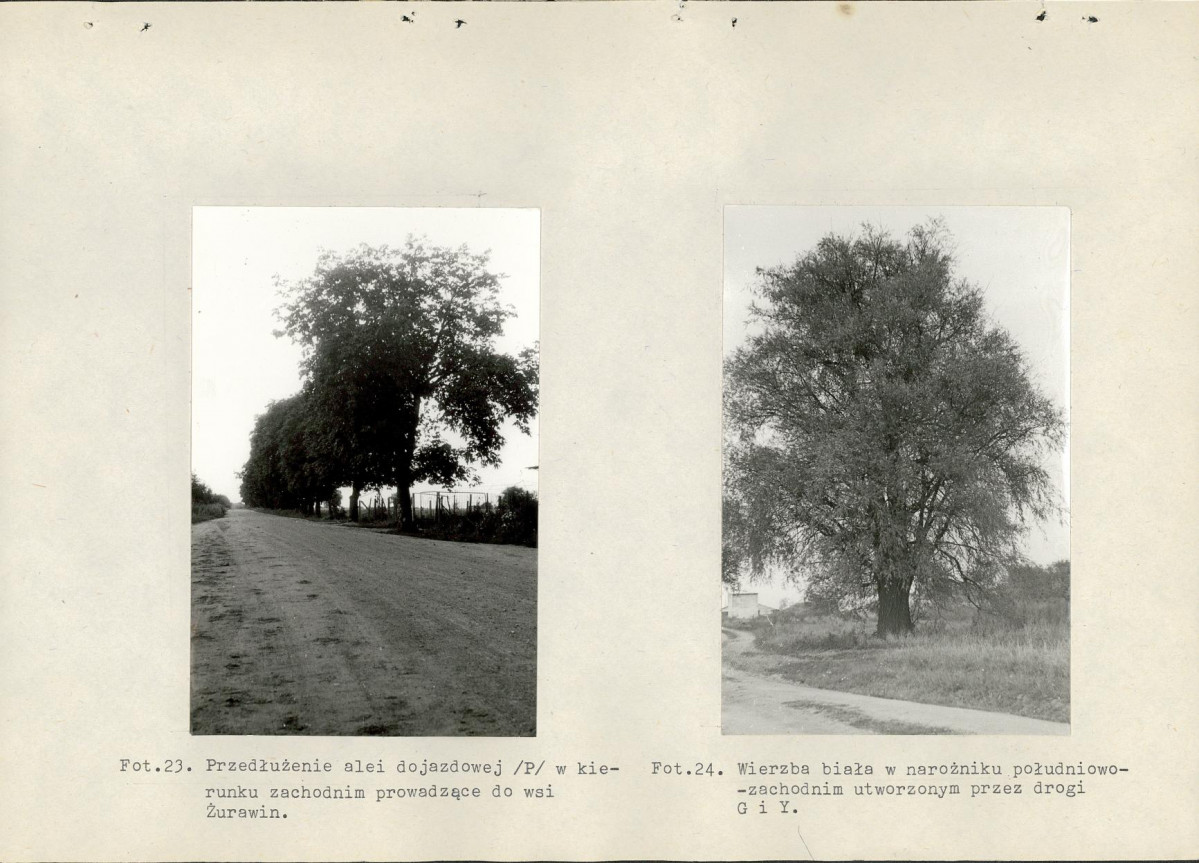 Ewidencja parkowa, skan nr 65