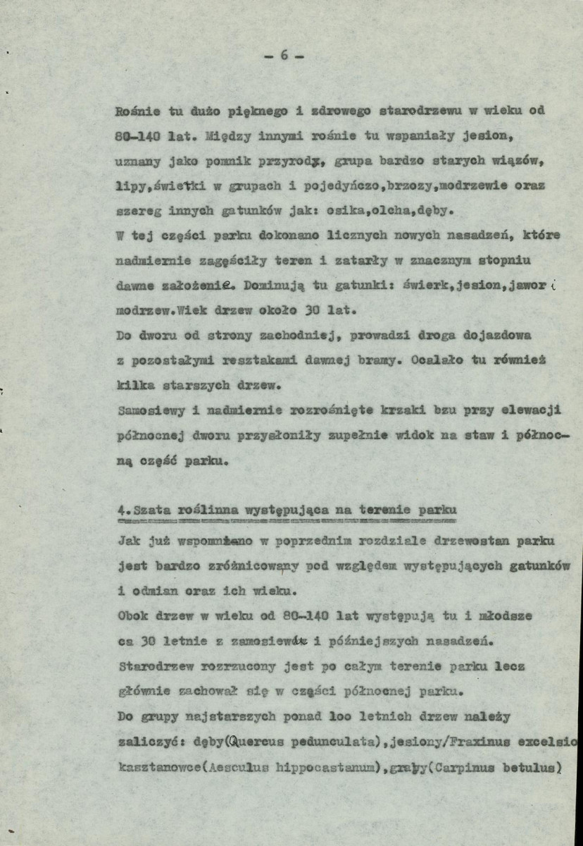 Ewidencja parkowa, skan nr 13