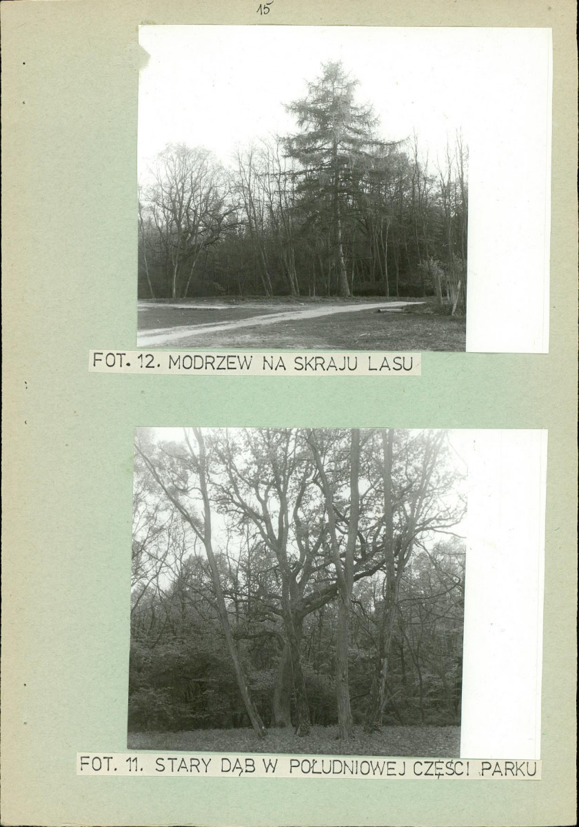 Ewidencja parkowa, skan nr 22