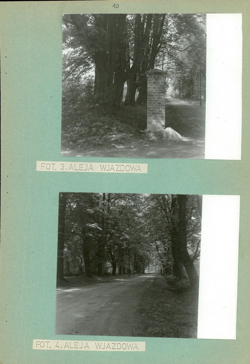Ewidencja parkowa, skan nr 17
