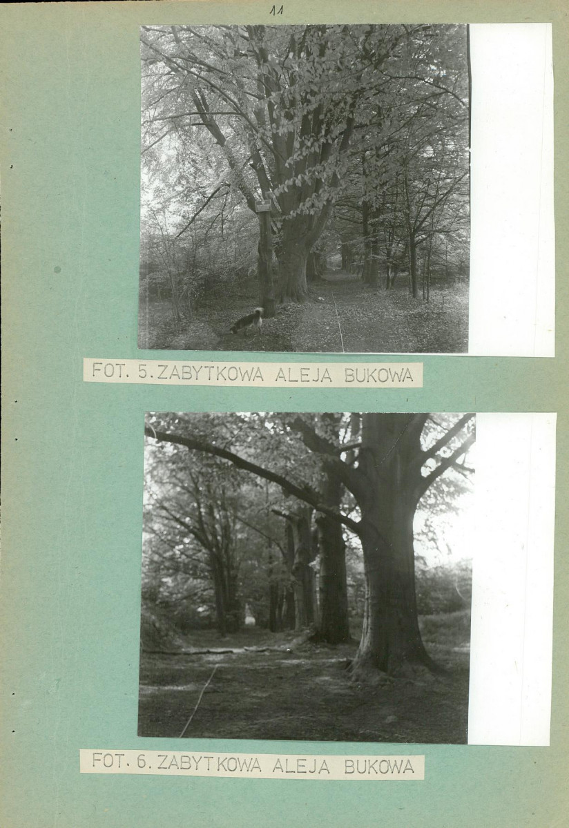 Ewidencja parkowa, skan nr 18