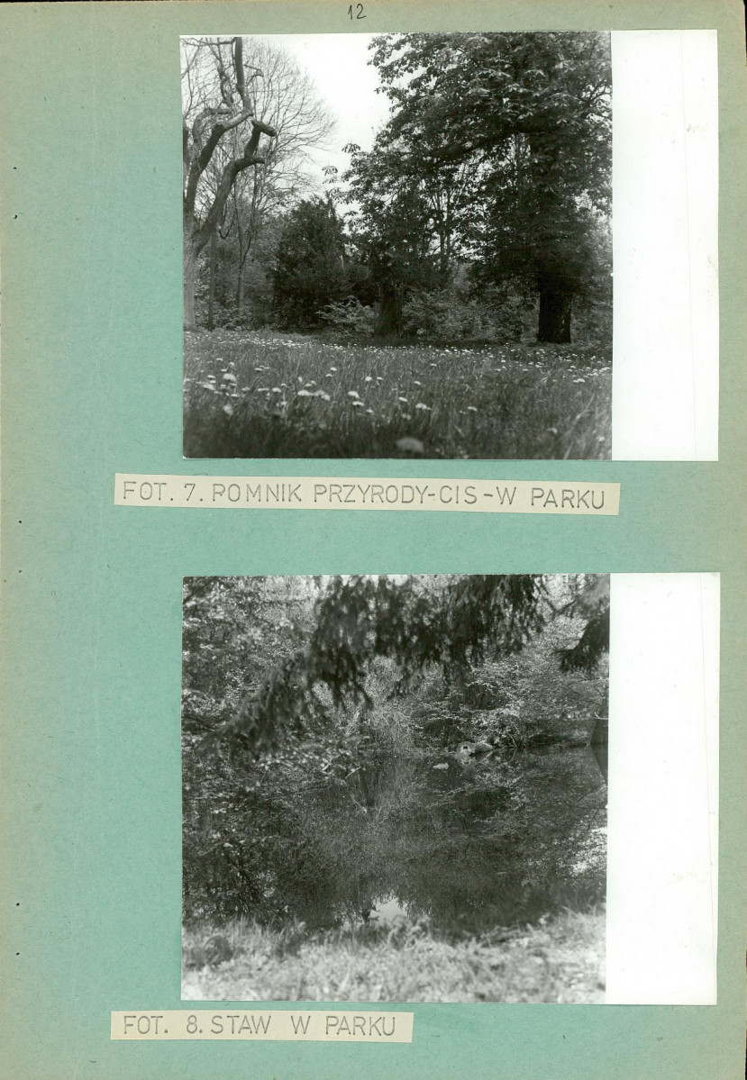 Ewidencja parkowa, skan nr 19