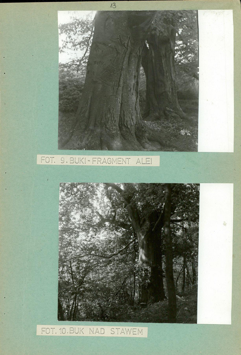Ewidencja parkowa, skan nr 20