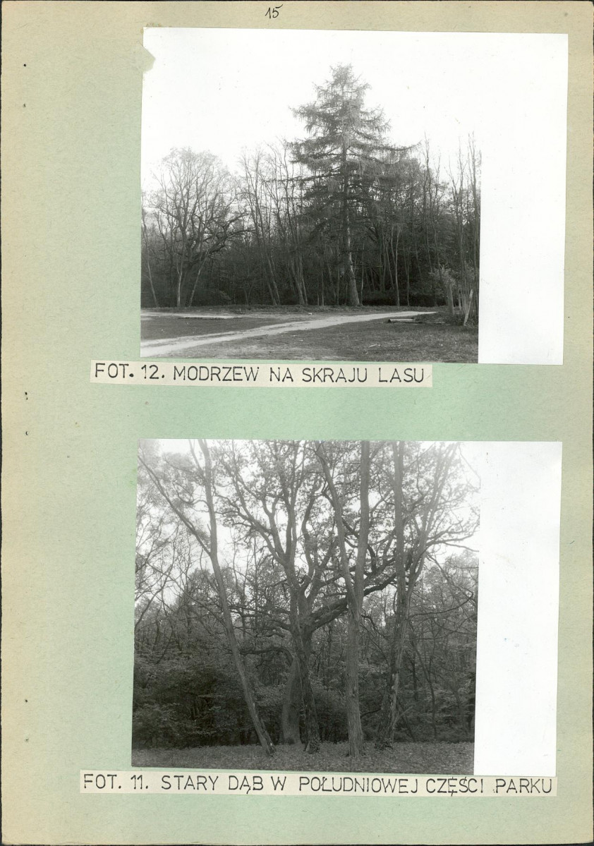 Ewidencja parkowa, skan nr 29